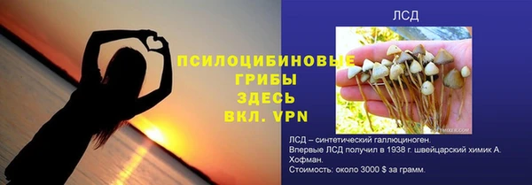 герыч Новозыбков