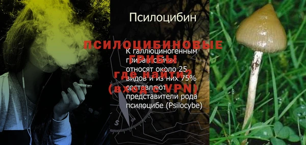первитин Новодвинск