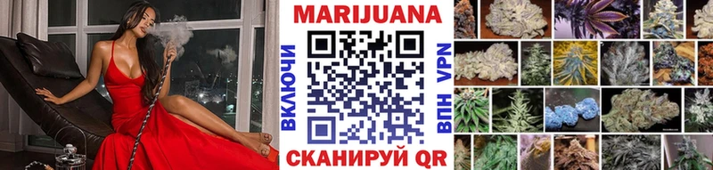 Шишки марихуана гибрид Сурск